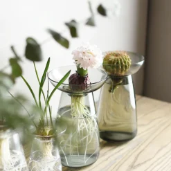 Aqua Culture Vase