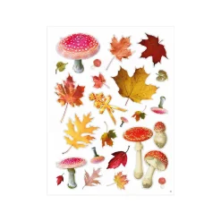 Collage Kit: A Cut and Create Book