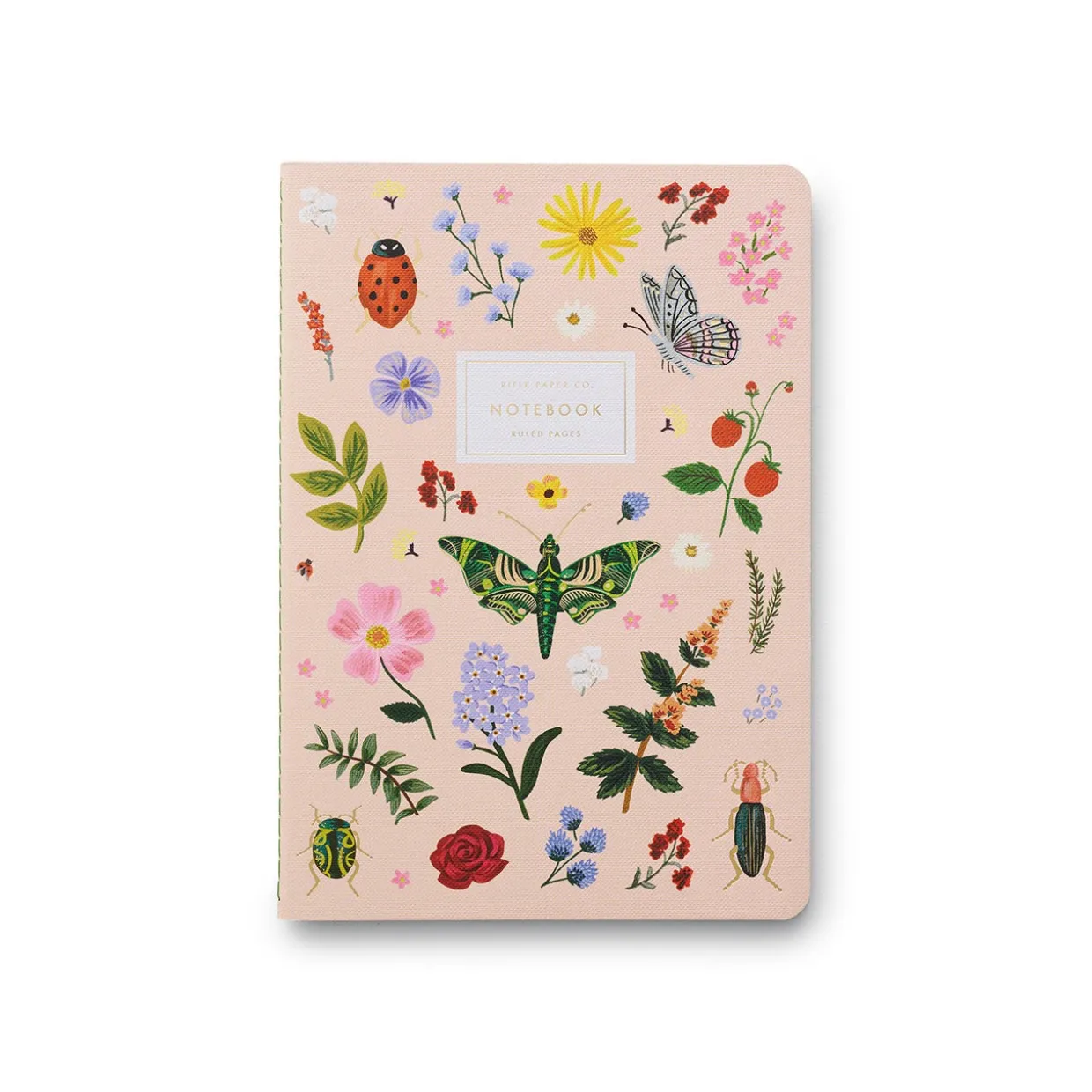 Curio Stitched Notebooks Set of 3