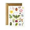Curio Thank You Greeting Card