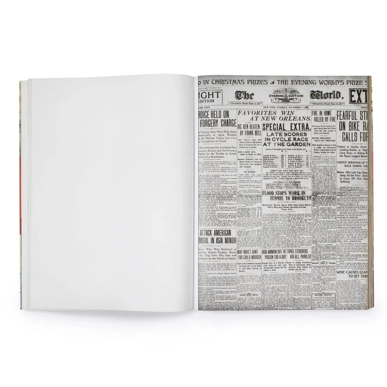 Cut Up This Book: Creative Paper