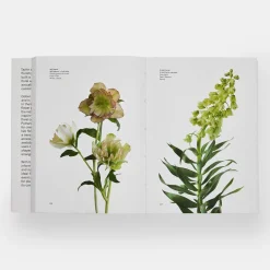 Flower Colour Guide