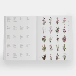 Flower Colour Guide