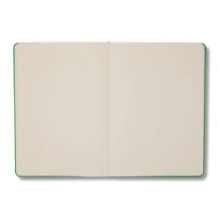 Green Any Day Notebook Plain A5