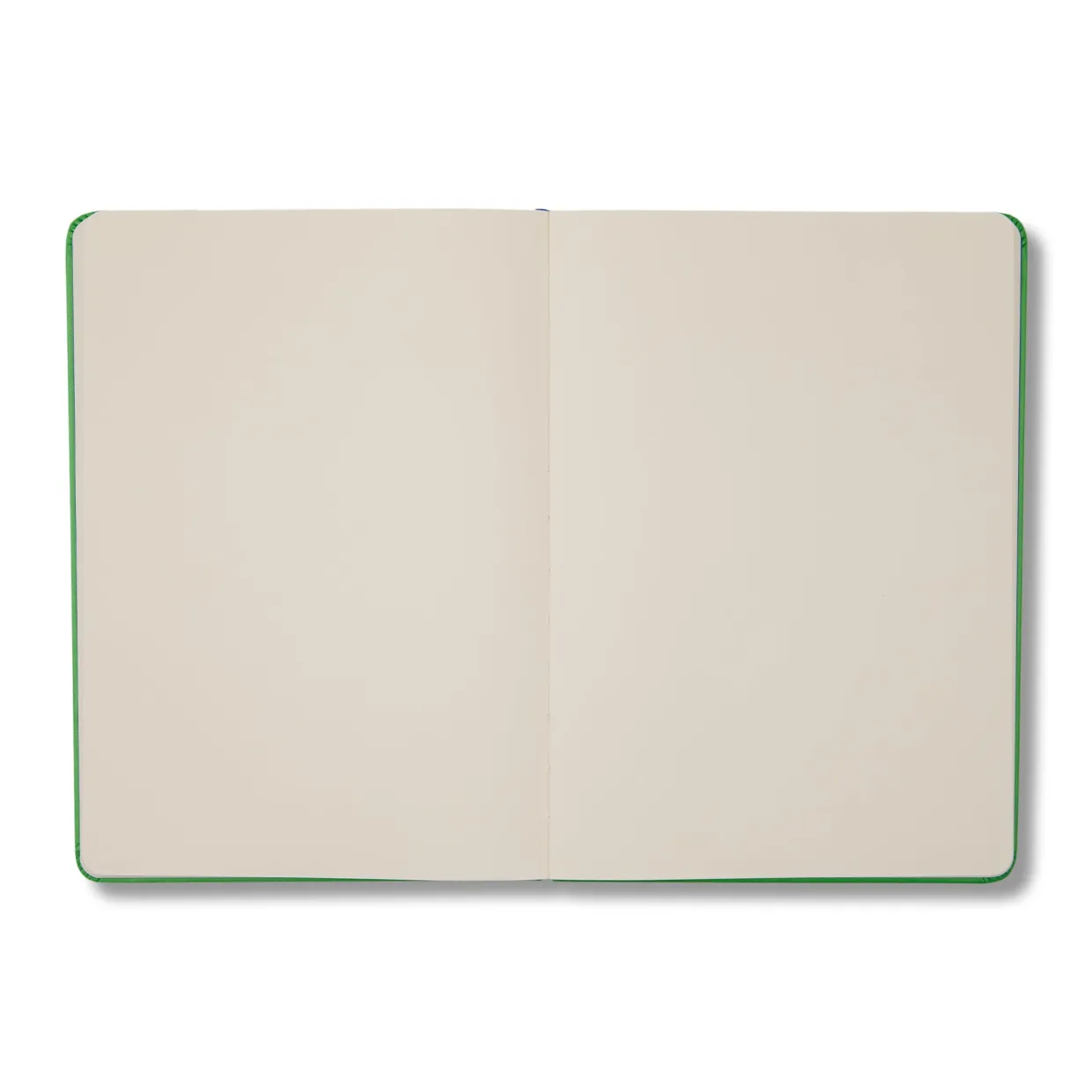 Green Any Day Notebook Plain A5