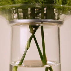 Ikebana Vase Medium