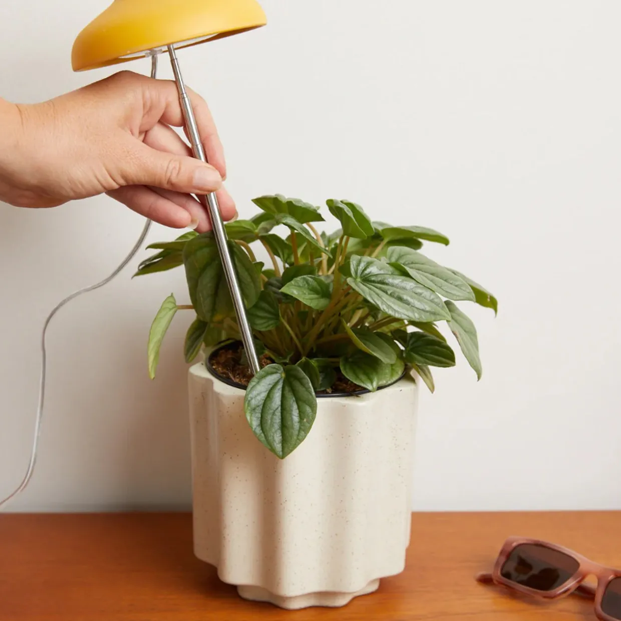 Instant Sun Glow Lamp