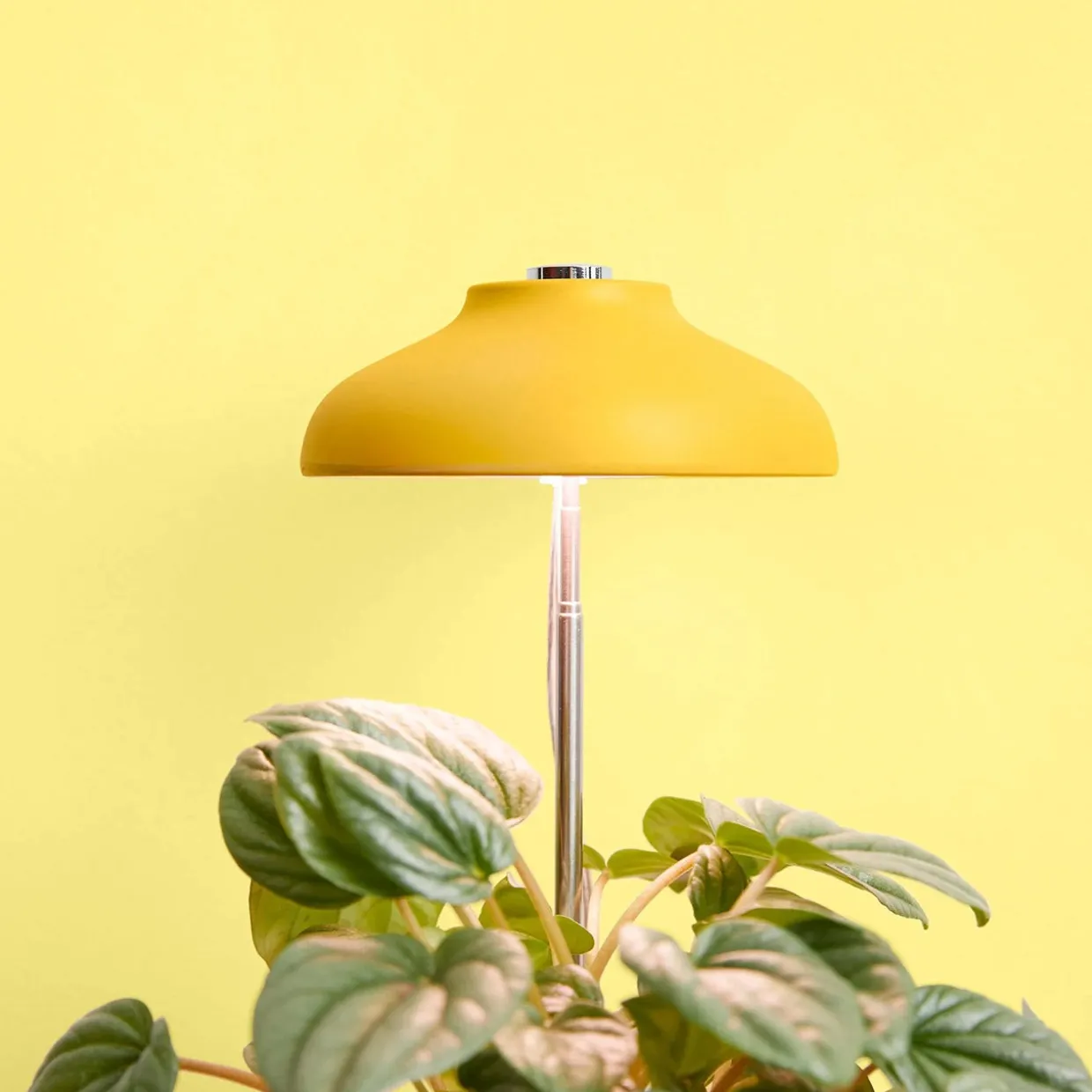 Instant Sun Glow Lamp