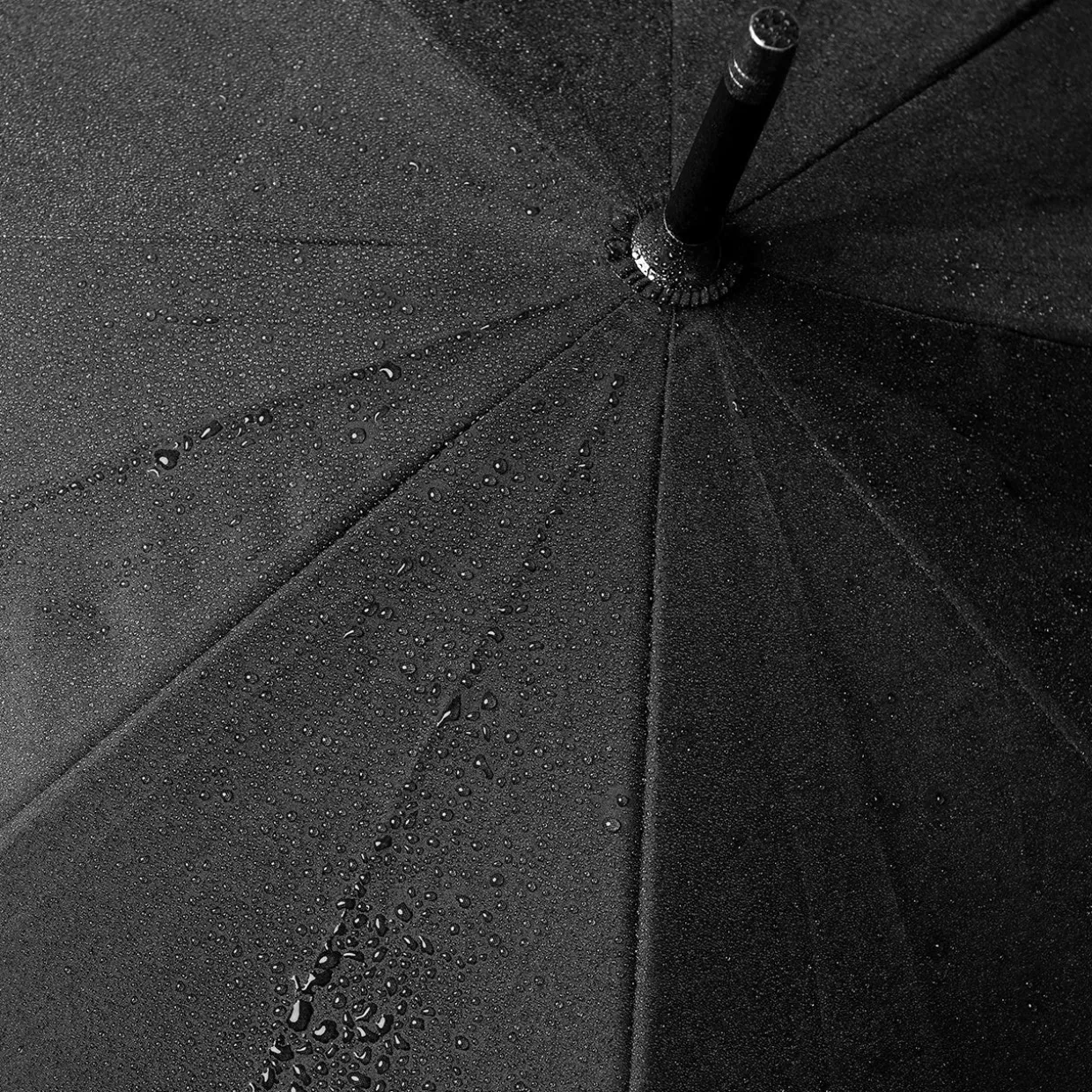 Large Animal Head Umbrella