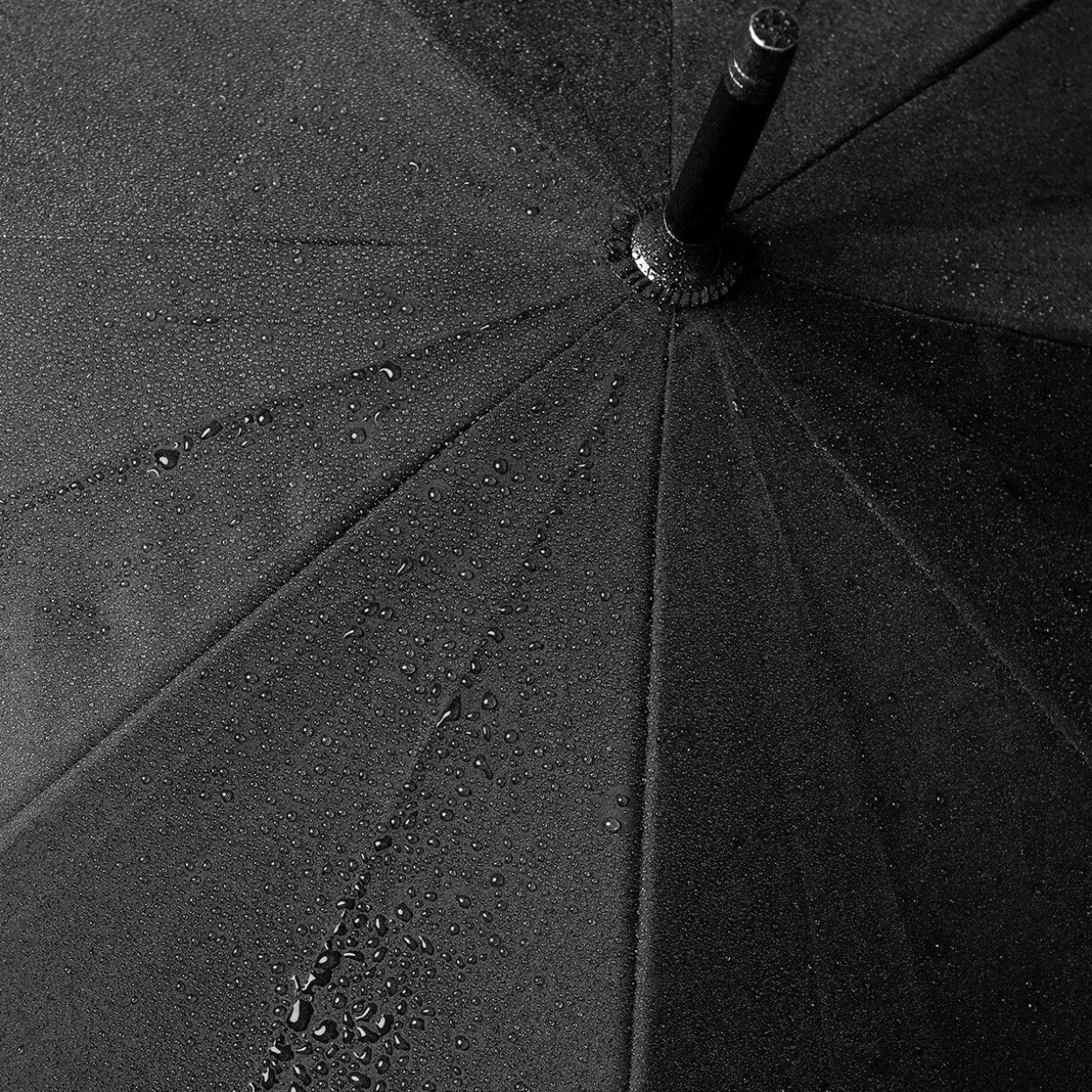 Large Animal Head Umbrella
