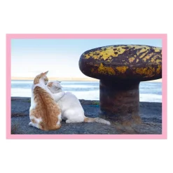 Neko: Cats of Japan