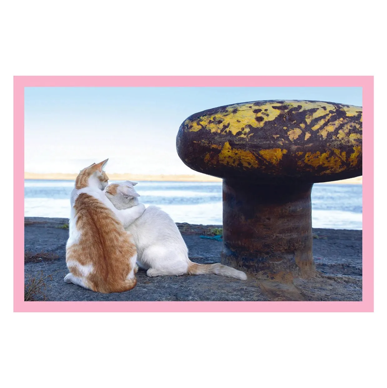 Neko: Cats of Japan