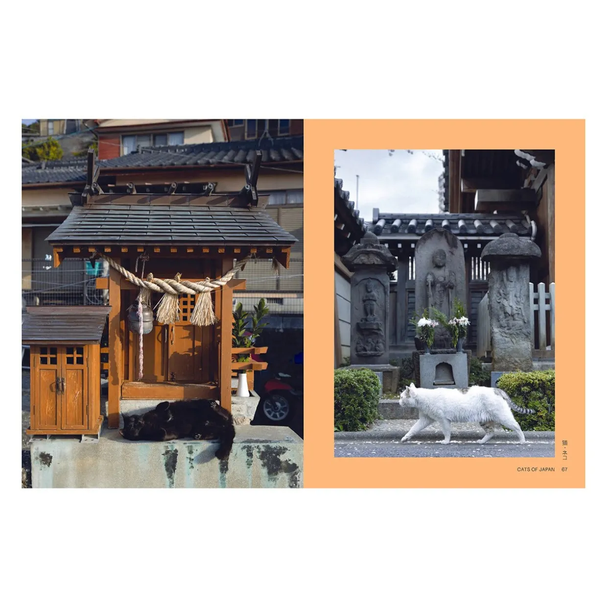 Neko: Cats of Japan