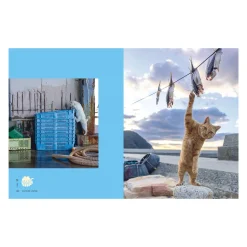 Neko: Cats of Japan