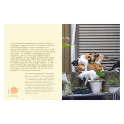 Neko: Cats of Japan