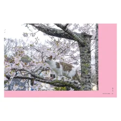Neko: Cats of Japan