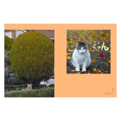 Neko: Cats of Japan