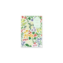 Notebook B6