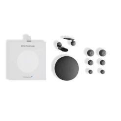 Orbit Earplugs