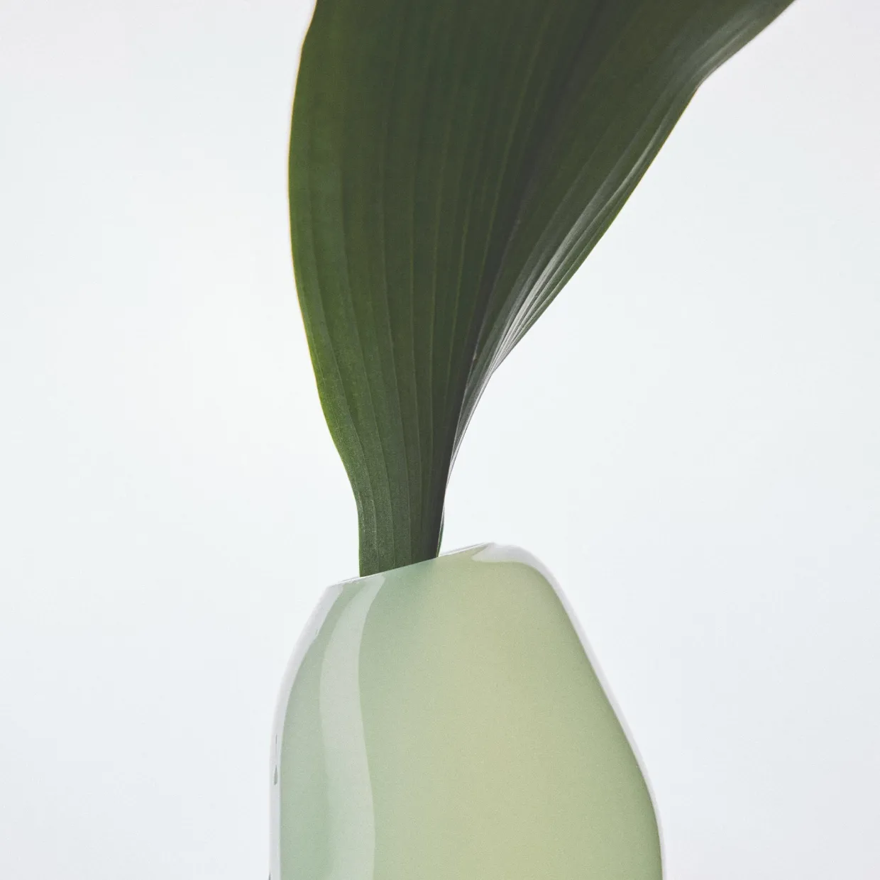 Pistachio Casper Vase Large
