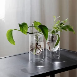 Propagation Vase Small Set of 2