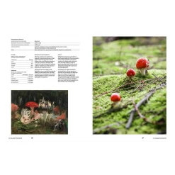 Psychoactive Plants and Fungi
