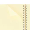 Rollbahn Large Spiral Notebook Clear