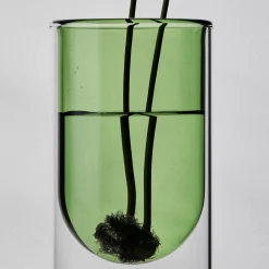 Single Propagation Vase Small