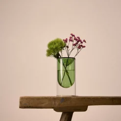 Single Propagation Vase Small