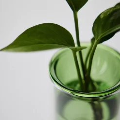 Single Propagation Vase Small
