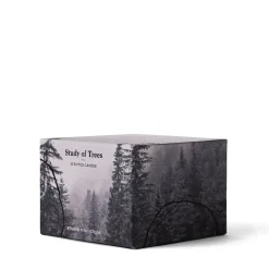 Study Of Trees Limited Edition Scented Candle