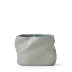 Study Of Trees Limited Edition Scented Candle