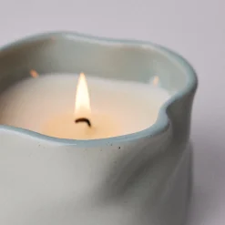 Study Of Trees Limited Edition Scented Candle