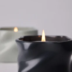 Study Of Trees Limited Edition Scented Candle