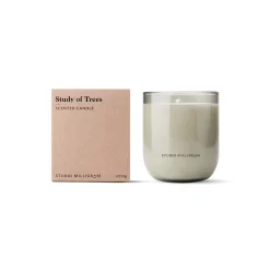 Study of Trees Scented Candle