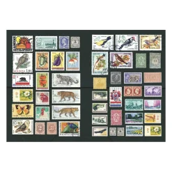 The Curious Collections Sticker Book