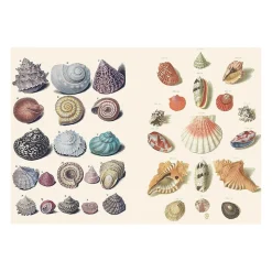The Curious Collections Sticker Book