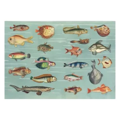 The Curious Collections Sticker Book