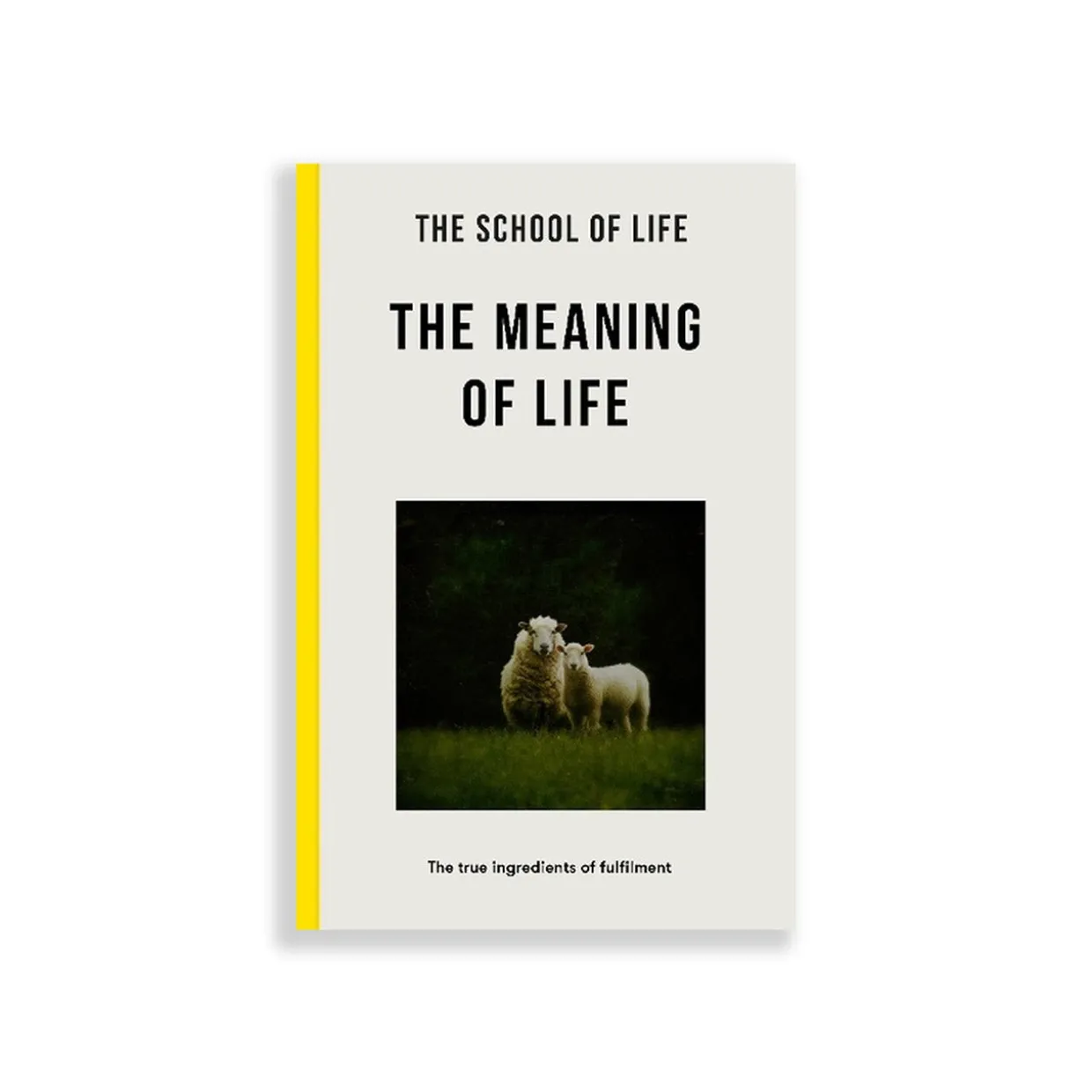 The Meaning of Life