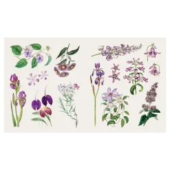 The Sticker Treasury of Butterflies and Blooms