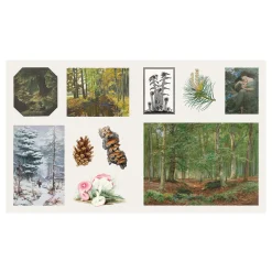 The Sticker Treasury of Woodland Adventures