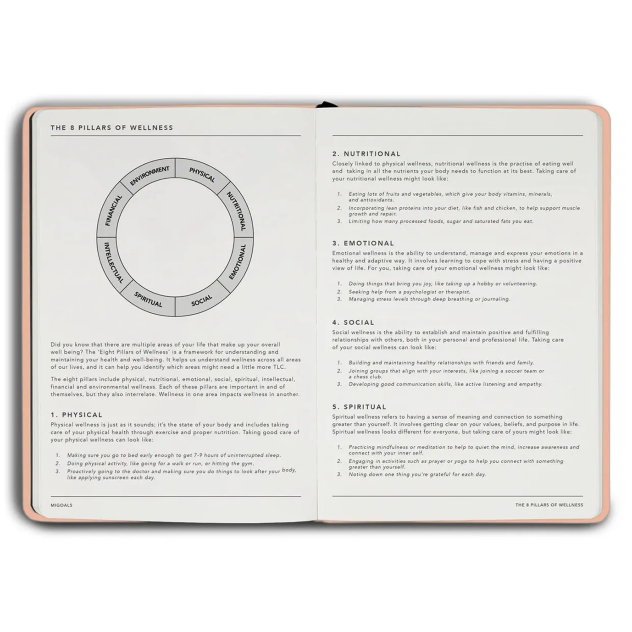 Wellness Journal B6